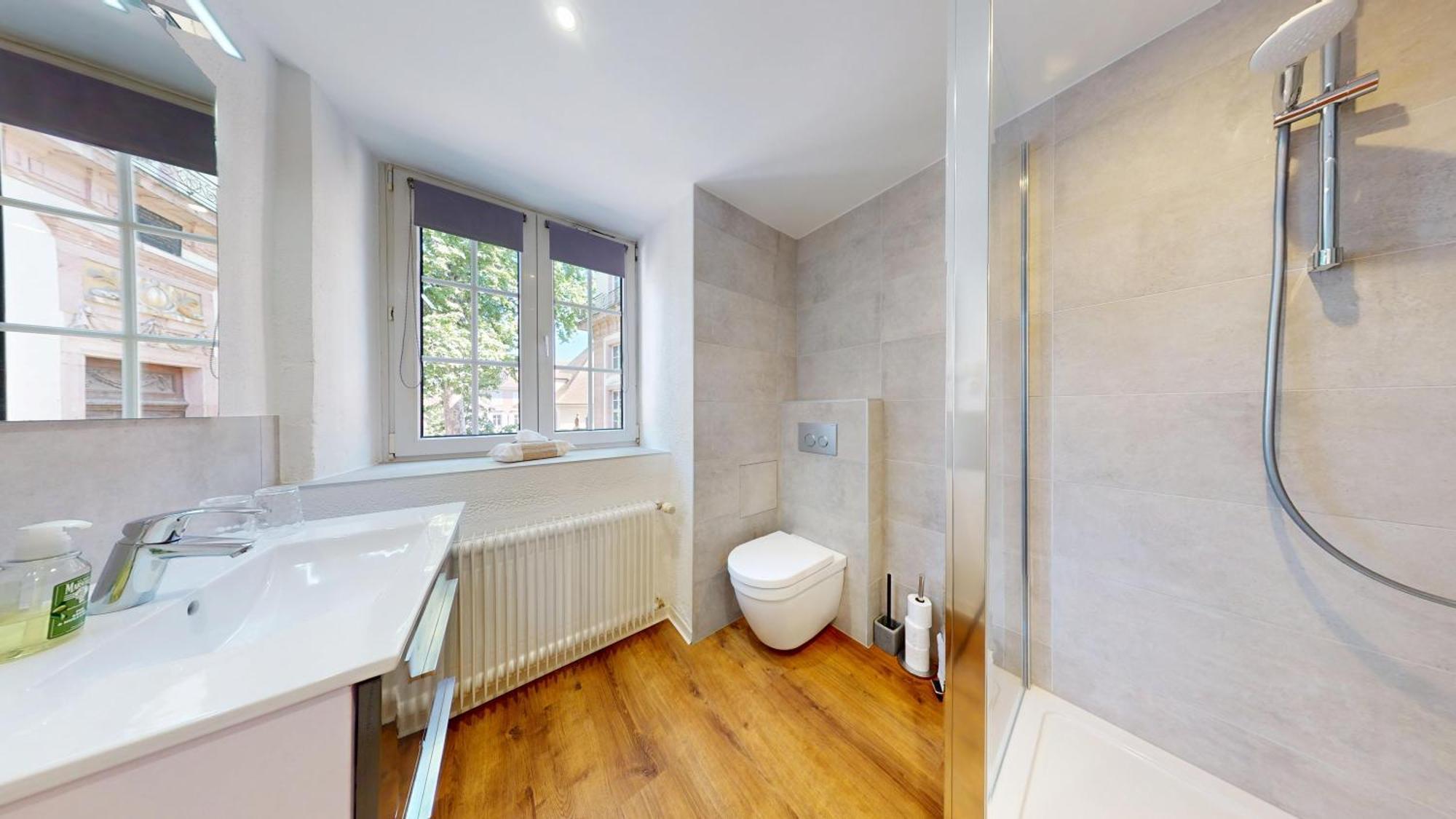 Apartment Le Clos Bartholdi Colmar