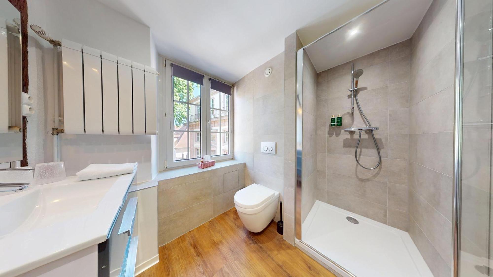 Apartment Le Clos Bartholdi Colmar